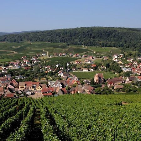 La Tete Au Soleil Apartman Soultzmatt Kültér fotó